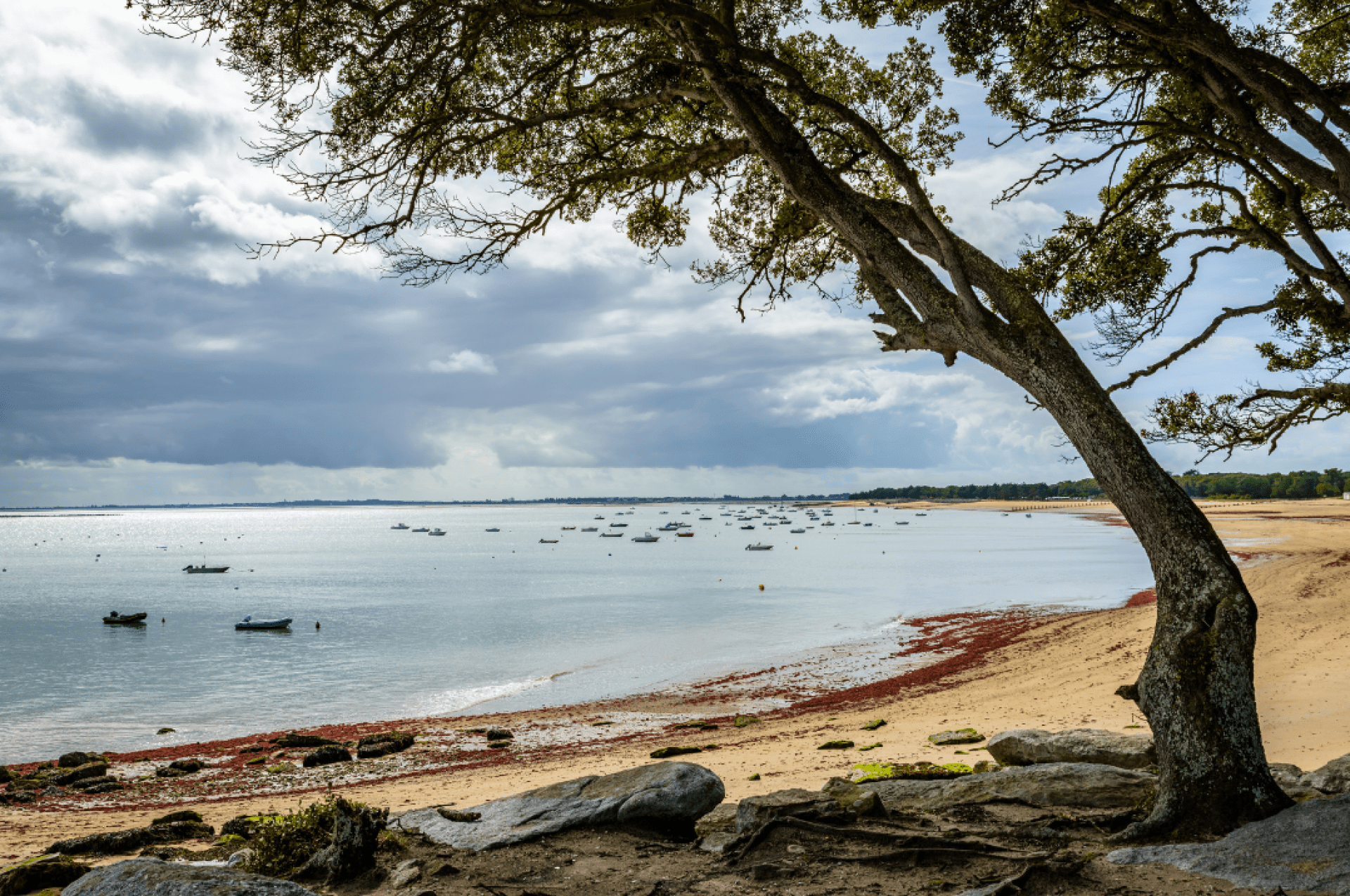 À la découverte de l'Île de Noirmoutier
