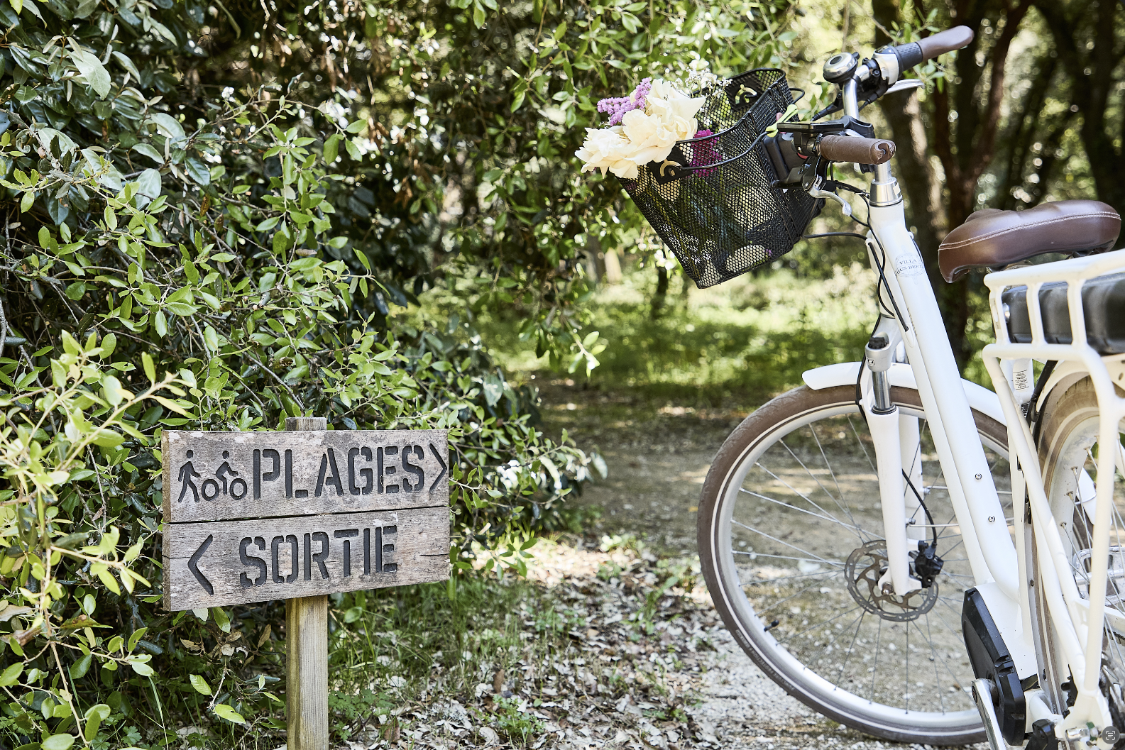 Capture decran 2026 01 15 a 12.18.17