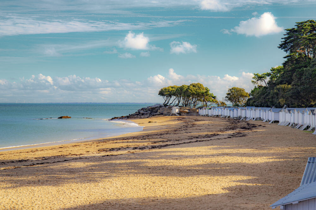 VAB Posts Instagram 2025 1 1