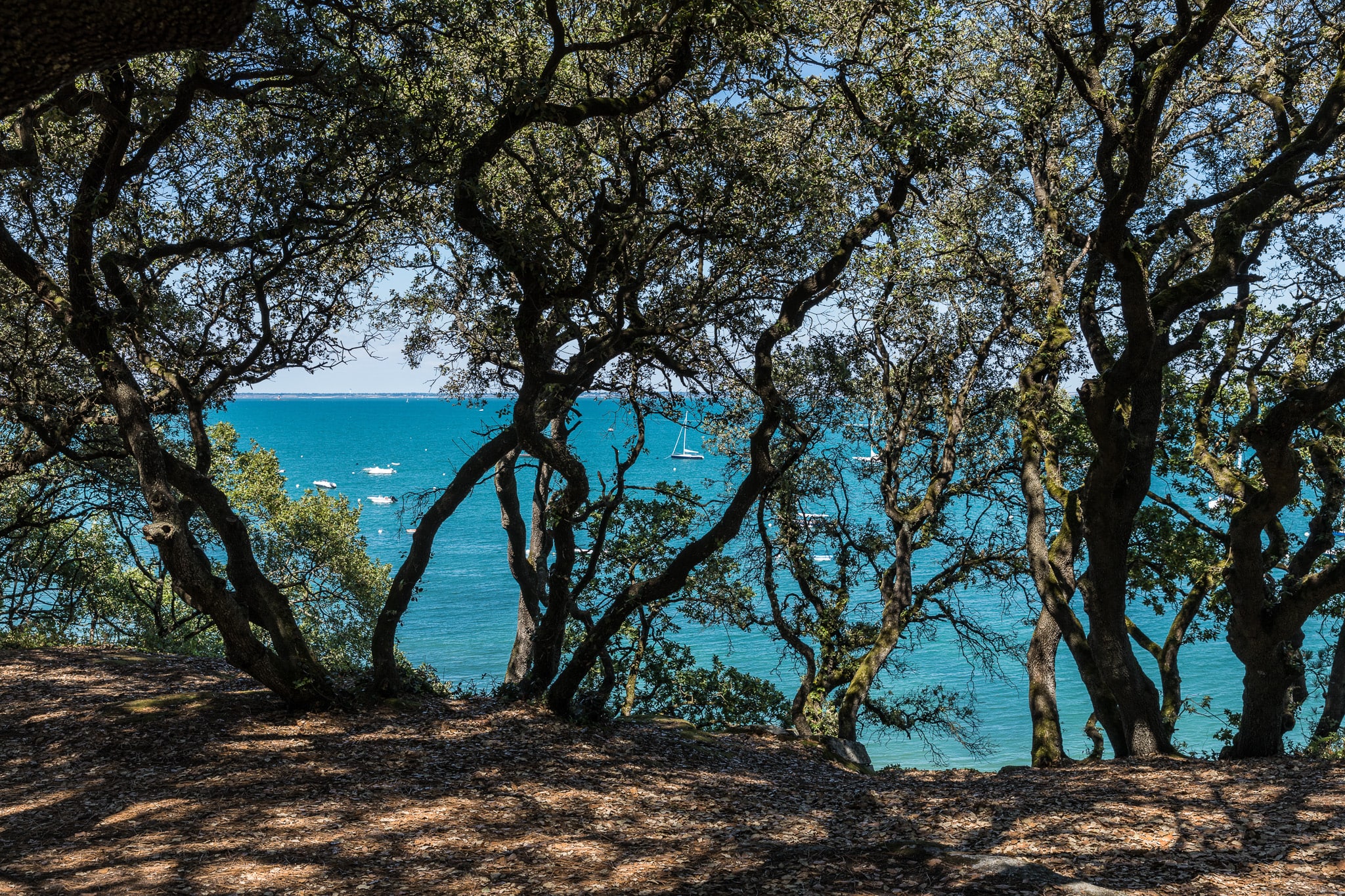 the wood of the chair min 1